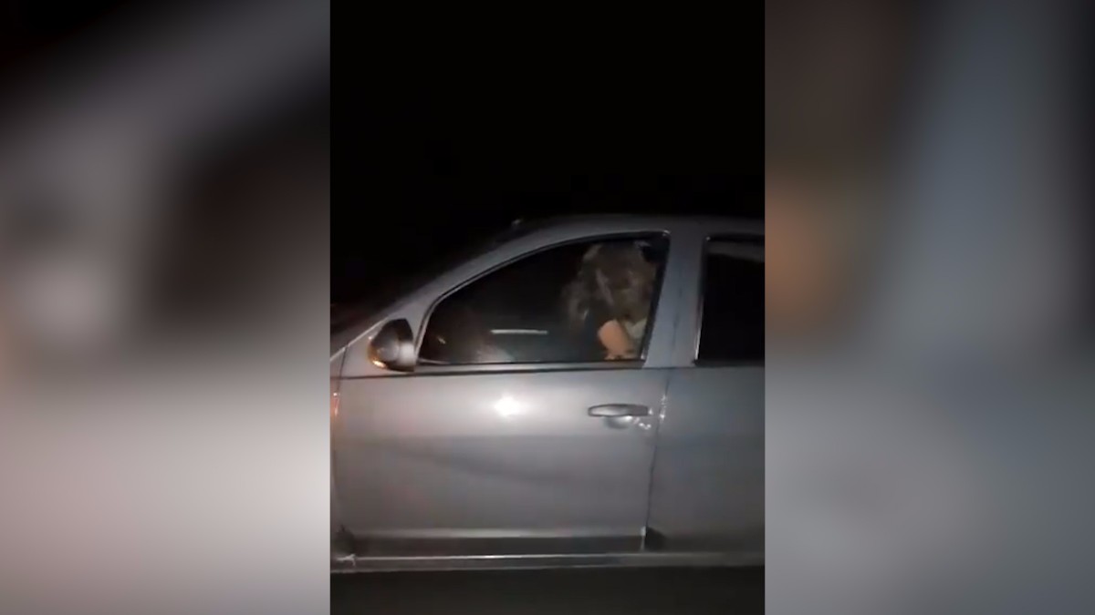 Video: escracharon a una pareja teniendo sexo al volante - Canal 9 Televida  Mendoza