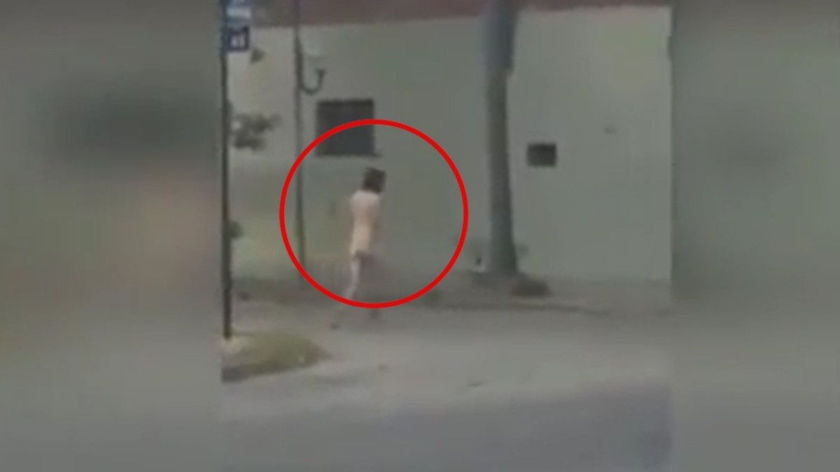 Video: Camina desnudo por la calle y sorprende a los vecinos - Canal 9  Televida Mendoza